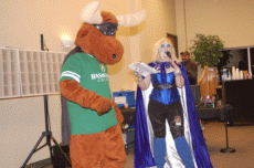 ValleyCon 37 - 2011
